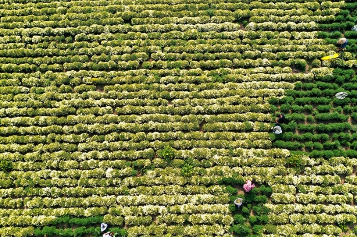 10 - 復(fù)件(4)_副本