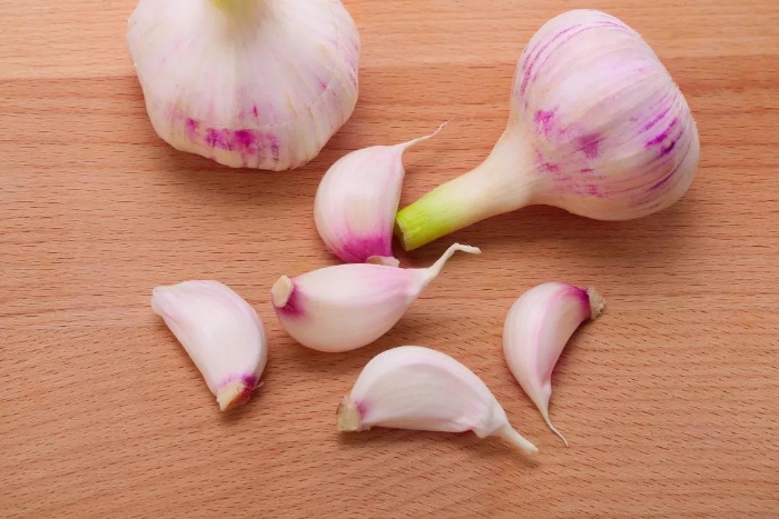 微信圖片_20190926095826