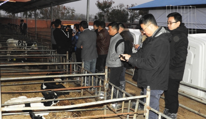 09 圖為國家藥典委員會(huì)一行調(diào)研臨泉縣王氏牧業(yè)有限公司。（記者 蔣守福 攝）.JPG