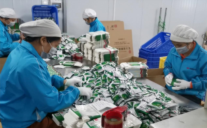 圖為雙蟻藥業(yè)生產(chǎn)一線員工提前復(fù)工復(fù)產(chǎn)（莫永娟 攝）