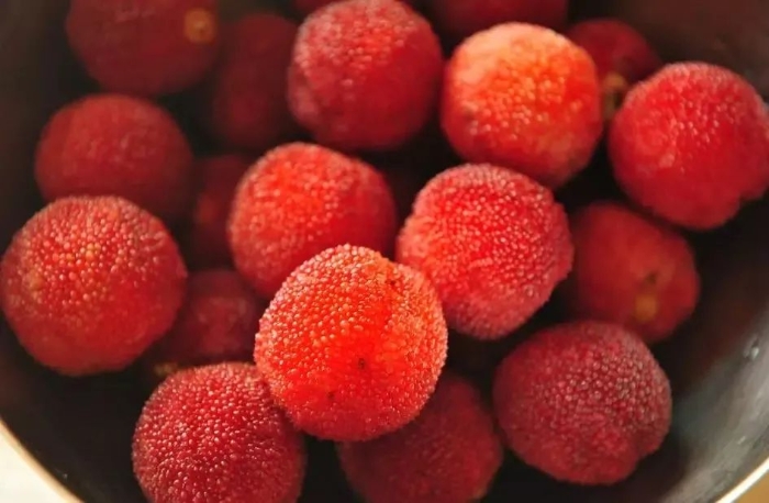 楊梅染色不能吃？吃之前一定要知道這幾個(gè)真相