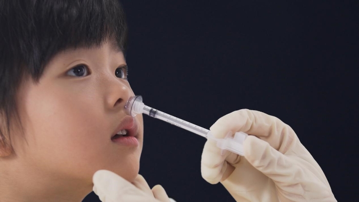 圖為鼻噴流感減毒活疫苗接種示意圖。