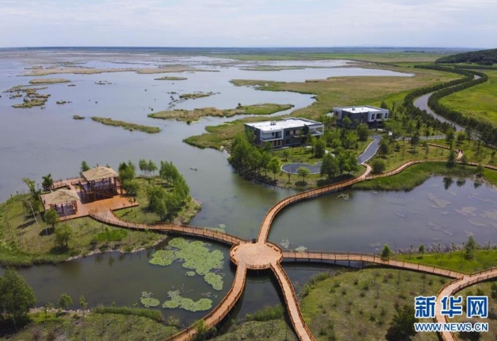 這是6月12日拍攝的富錦國家濕地公園（無人機照片）。新華社發(fā)（張濤 攝）