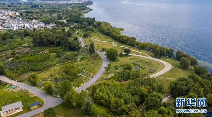 云南省大理市環(huán)洱海流域湖濱緩沖帶生態(tài)廊道一景（9月3日攝，無(wú)人機(jī)照片）。新華社記者 胡超 攝