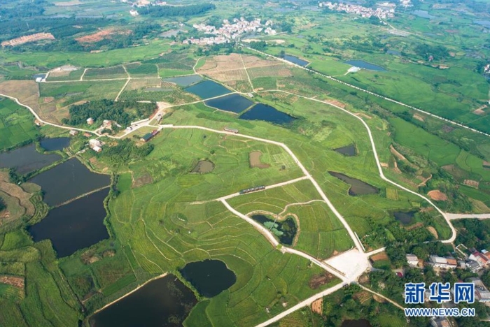 湖北省蘄春縣赤東鎮(zhèn)（無(wú)人機(jī)照片，8月25日攝）。新華社記者 肖藝九 攝