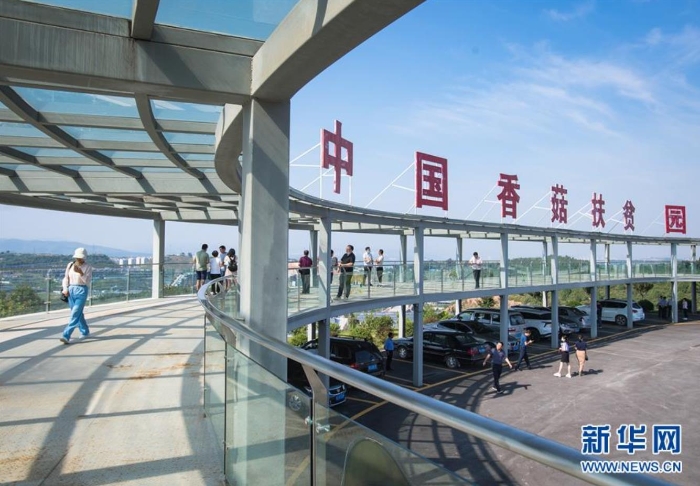 湖北省十堰市鄖陽(yáng)區(qū)青龍泉社區(qū)香菇產(chǎn)業(yè)基地（8月28日攝）。新華社記者 肖藝九 攝