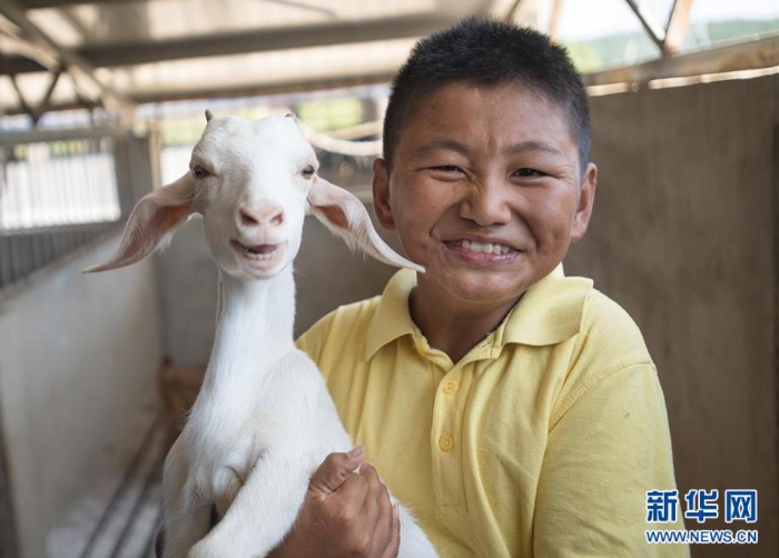 湖北省孝昌縣鄒崗鎮(zhèn)校堂村大學(xué)生“羊倌”唐根根抱起一只小羊（8月26日攝）。新華社記者 肖藝九 攝