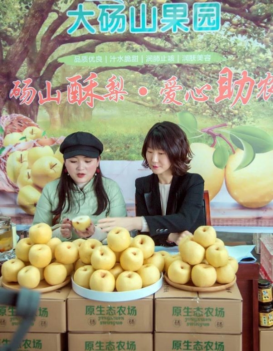 安徽碭山：特色產(chǎn)業(yè)搭“快車”，“電商扶貧”再升級