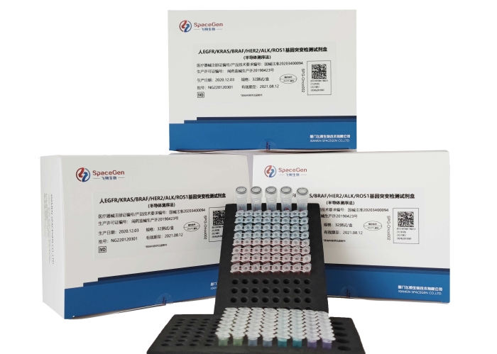 4廈門飛朔生物技術(shù)有限公司+人EGFR-KRAS-BRAF-HER2-ALK-ROS1基因突變檢測試劑盒（半導(dǎo)體測序法）