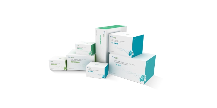 人EGFR、KRAS、BRAF、PIK3CA、ALK、ROS1基因突變檢測(cè)試劑盒（半導(dǎo)體測(cè)序法）1