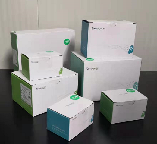 人EGFR、KRAS、BRAF、PIK3CA、ALK、ROS1基因突變檢測(cè)試劑盒（半導(dǎo)體測(cè)序法）2