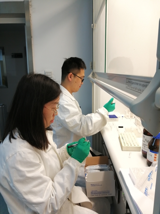 圖為工作人員對嬰幼兒化妝品進(jìn)行檢驗檢測。程巧鴛  攝