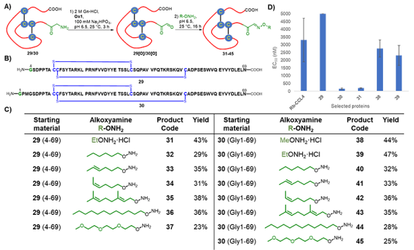 HIV輔助受體CCR5配體CCL4的N-端修飾及其抗HIV-1活性研究