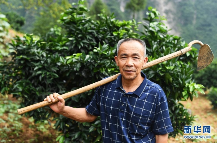 這是2020年7月3日在重慶市巫山縣竹賢鄉(xiāng)下莊村拍攝的毛相林。新華社記者 王全超 攝