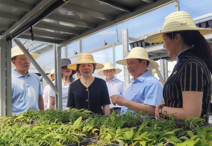 黃東紅（前左二）一行在懷化林泉藥業(yè)有限公司調(diào)研（喻燦華 攝）.jpg