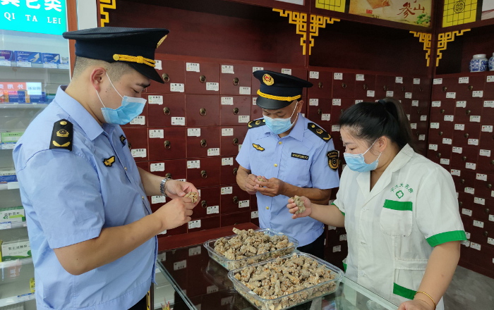 圖為該局執(zhí)法人員在一家零售藥店檢查田七質(zhì)量。