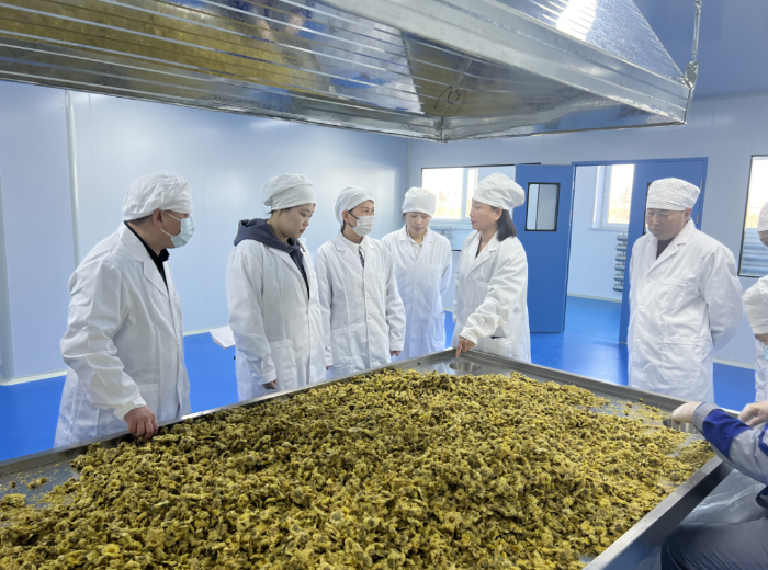 省藥品審核查驗中心深入企業(yè)開展精準幫扶