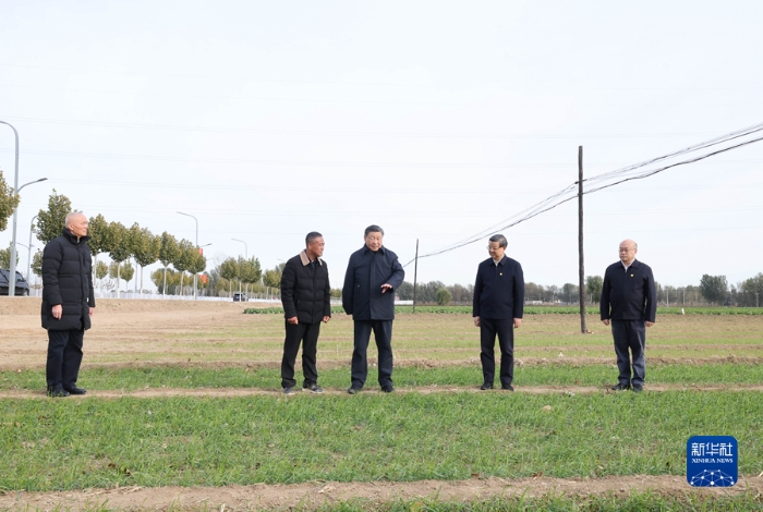 11月10日，中共中央總書(shū)記、國(guó)家主席、中央軍委主席習(xí)近平在北京、河北考察災(zāi)后恢復(fù)重建工作。這是10日下午，習(xí)近平在河北保定涿州市刁窩鎮(zhèn)萬(wàn)全莊村村邊農(nóng)田察看冬小麥長(zhǎng)勢(shì)。新華社記者 王曄 攝