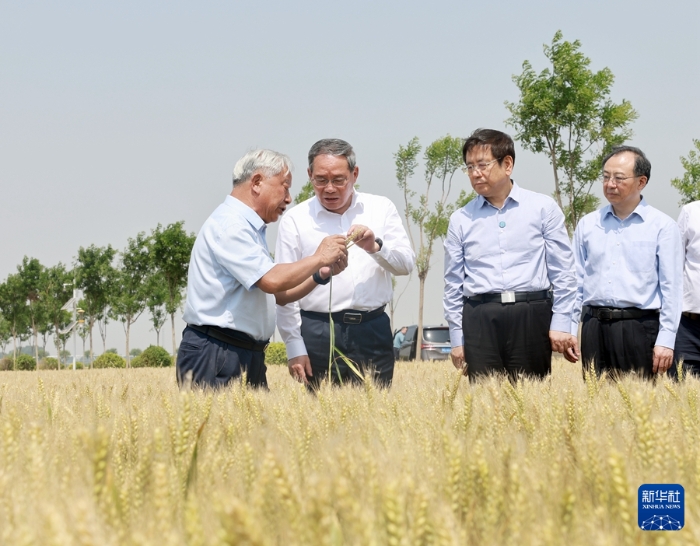 5月22日至23日，中共中央政治局常委、國務(wù)院總理李強(qiáng)在河南調(diào)研。這是5月23日，李強(qiáng)在新鄉(xiāng)市平原示范區(qū)高標(biāo)準(zhǔn)農(nóng)田調(diào)研。新華社記者 王曄 攝